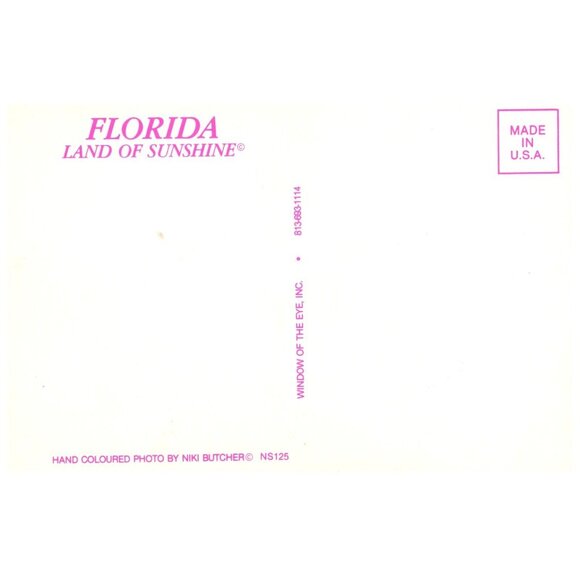 Postcard Florida Land of Sunshine "Hoover for President Model T like car old - Picture 2 of 2